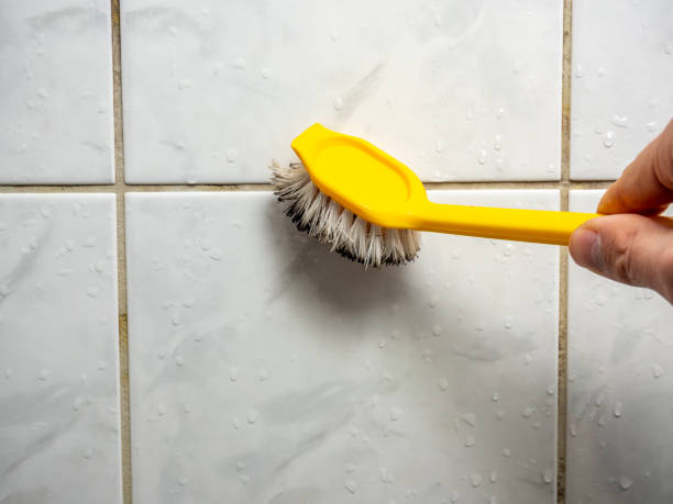 Home Mold Removal in Silsbee, TX
