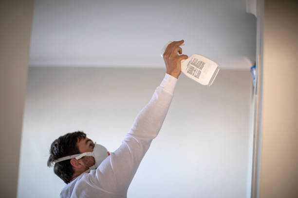 Best Mold Testing  in Silsbee, TX