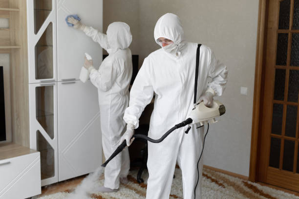 Best Mold Cleaning Services  in Silsbee, TX